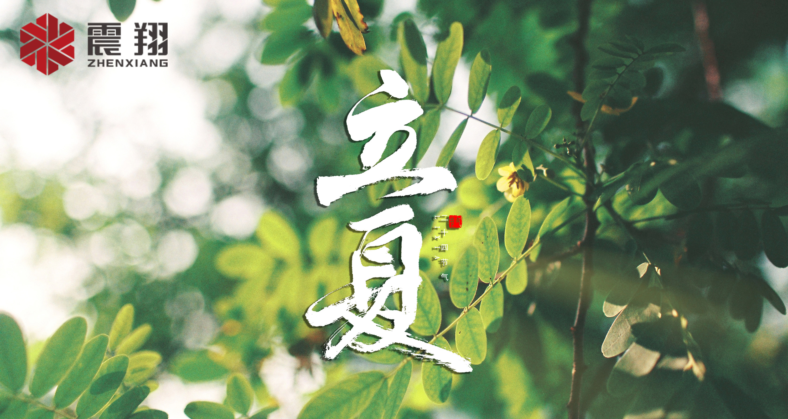 【立夏】春去春來不曾留意，夏日當歸，撲面而來